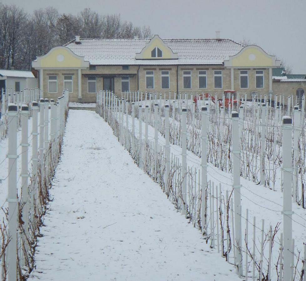 Apartmani Bojeresku Неготин Экстерьер фото